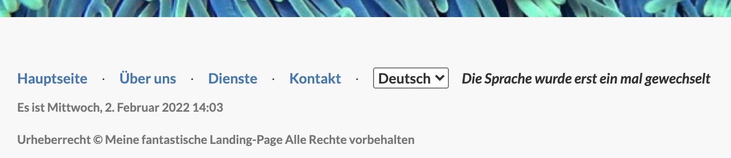 locize Β© inweso GmbH